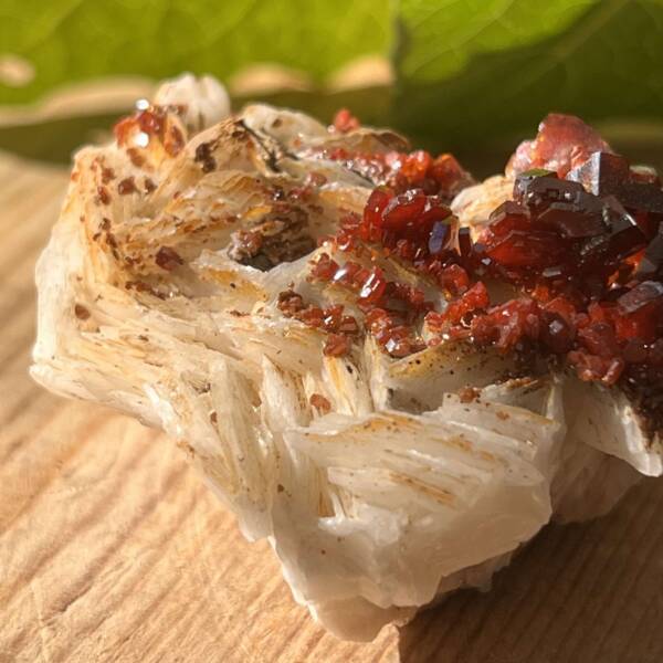 Vanadinite on gypsum - Image 6