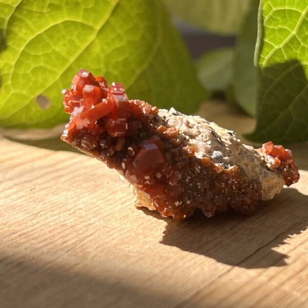 Vanadinite on gypsum - Image 2