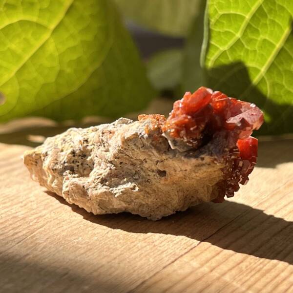 Vanadinite on gypsum - Image 3