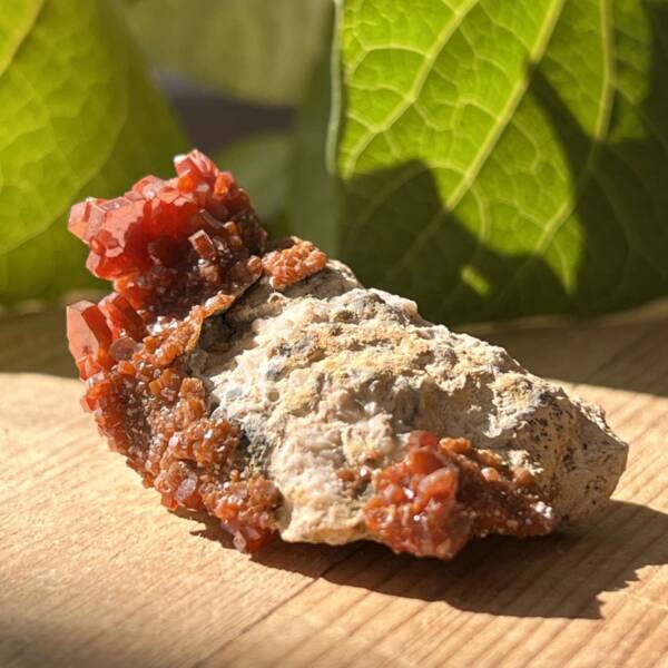 Vanadinite on gypsum - Image 4