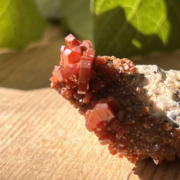 Vanadinite on gypsum - Image 5
