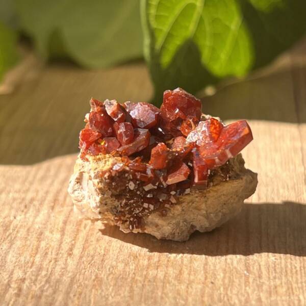 vanadinite on gypsum matrix