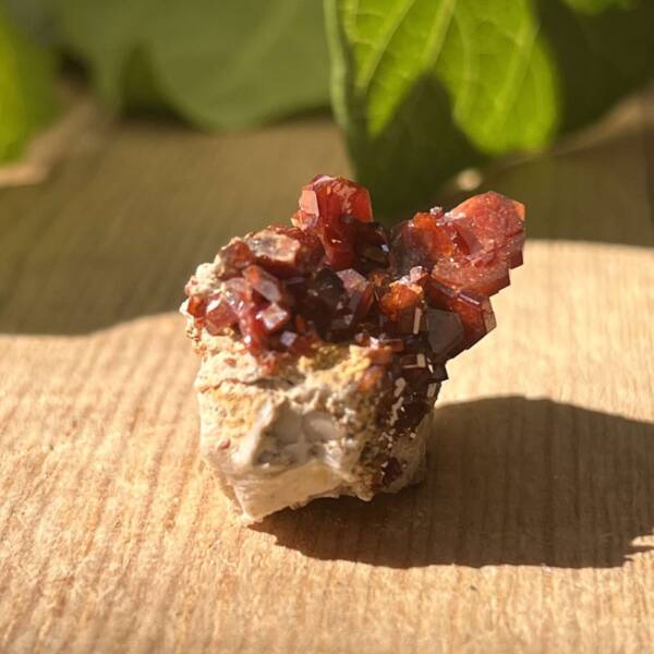 Vanadinite on gypsum - Image 3