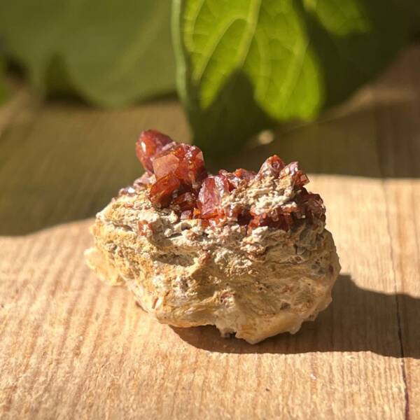 Vanadinite on gypsum - Image 4