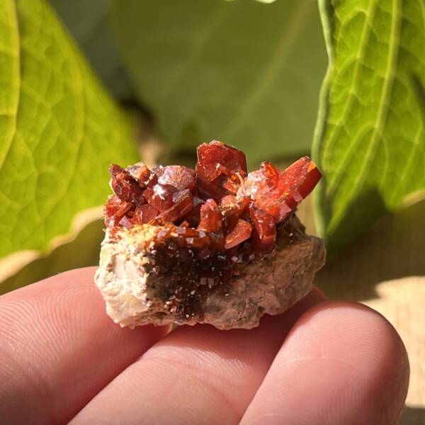 Vanadinite on gypsum - Image 2