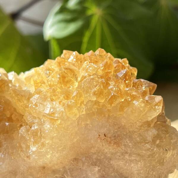 Citrine cluster - Image 2