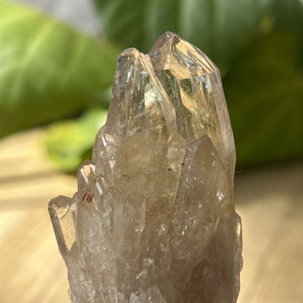 Citrine cluster - Image 2