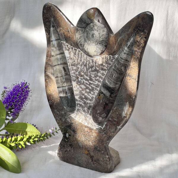Orthoceras and ammonite - Image 2