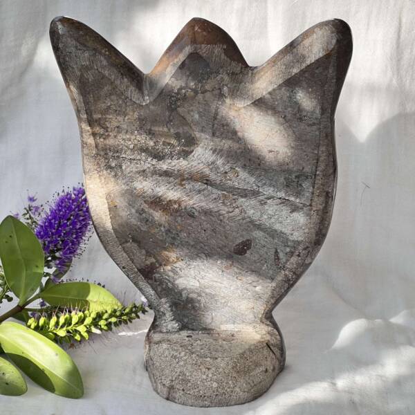 Orthoceras and ammonite - Image 4