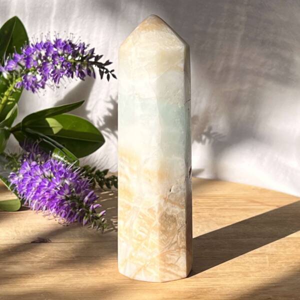 Caribbean calcite tower - Image 6