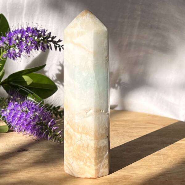 Caribbean calcite tower - Image 5