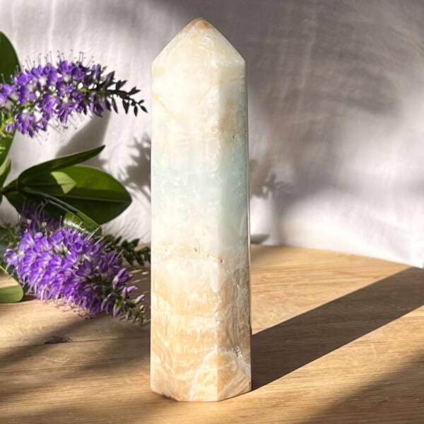 Caribbean calcite tower - Image 4