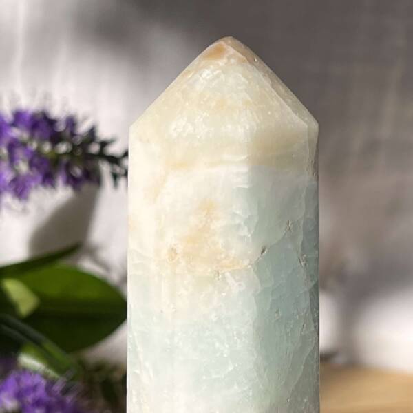 Caribbean calcite tower - Image 2