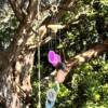 agate wind chime made with seven slices of agate threaded into a spiral hung on wooden rings