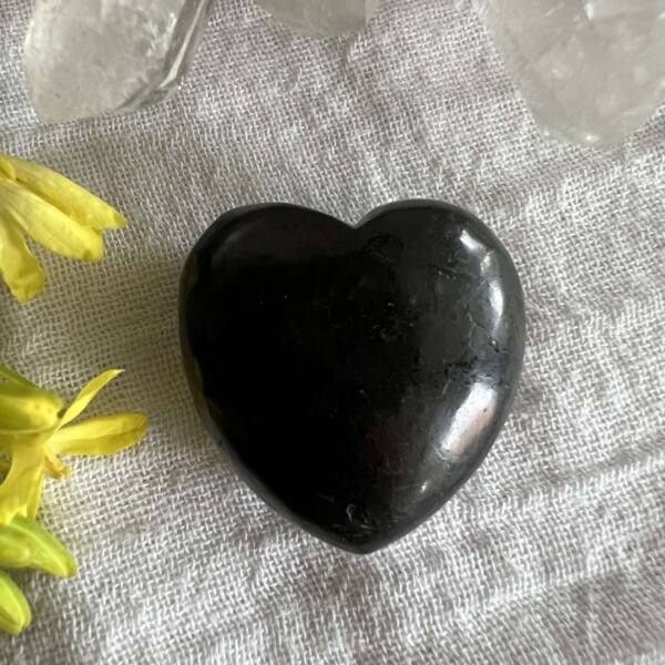 shungite heart