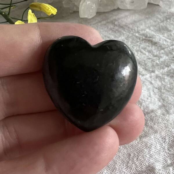 shungite heart