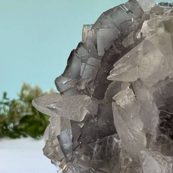 fluorite with dog tooth calcite