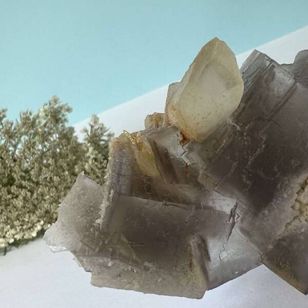 natural purple fluorite with dog tooth calcite