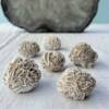 desert rose natural gypsum crystal