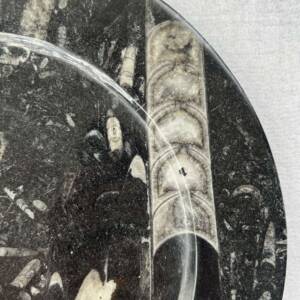 granite and orthoceras plate
