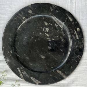 granite and orthoceras plate dinner plate stoneware plate