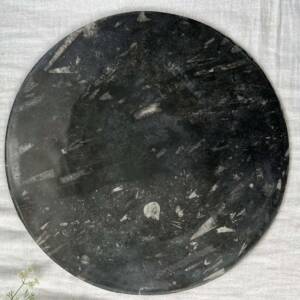 granite and orthoceras plate