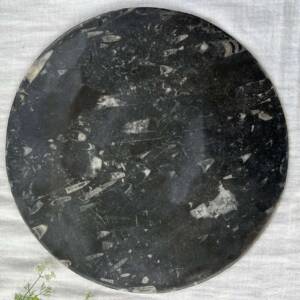 granite and orthoceras plate
