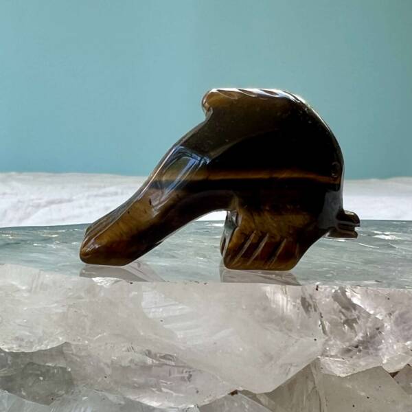 golden tiger eye dolphin