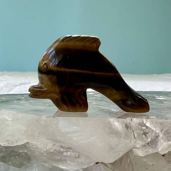 golden tiger eye dolphin