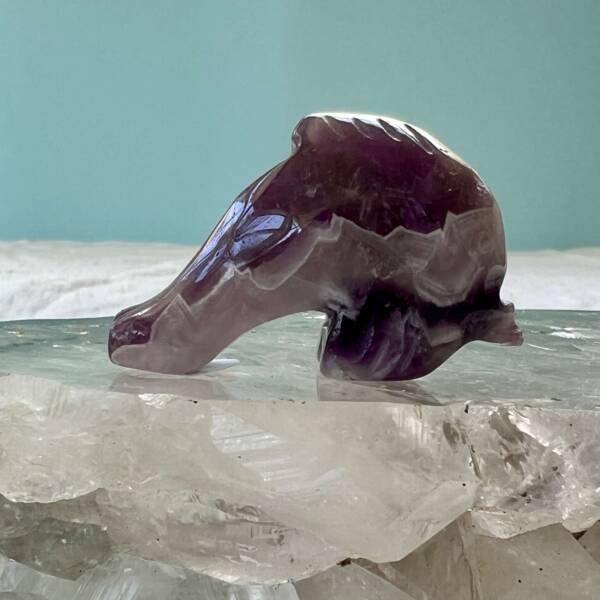 chevron amethyst dolphin