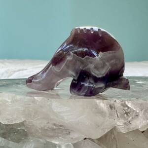 chevron amethyst dolphin