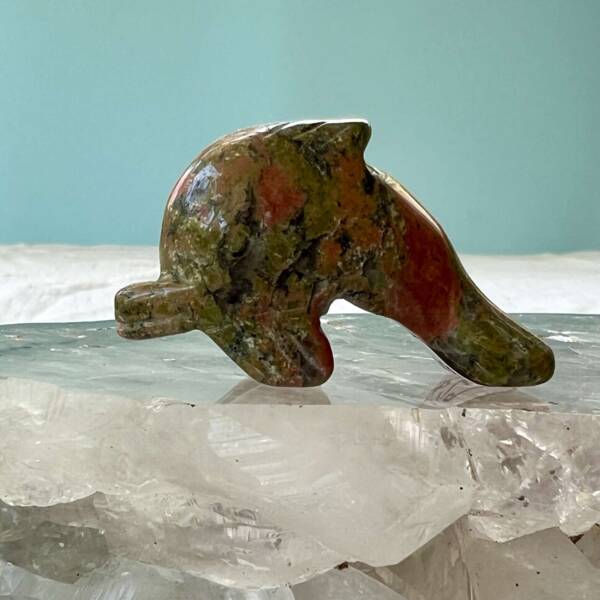 unakite dolphin