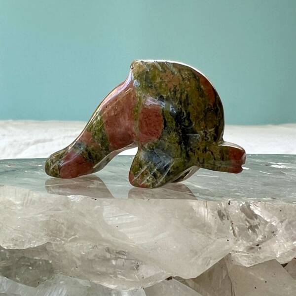 unakite dolphin