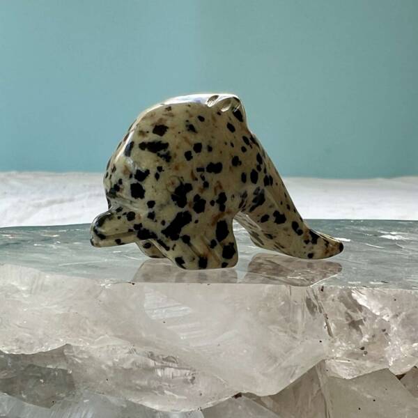 dalmatian jasper dolphin