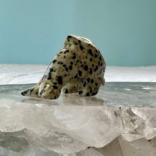 dalmatian jasper dolphin