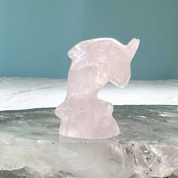 rose quartz dolphin