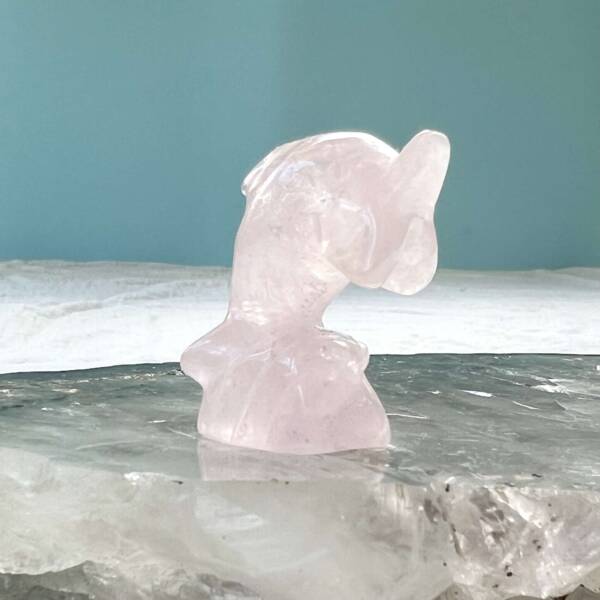 rose quartz dolphin