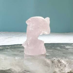 rose quartz dolphin