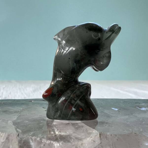 bloodstone dolphin