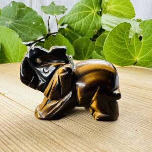 golden tiger eye elephant carved statue homeware art piece chatoyant quartz NZ online crystal shop