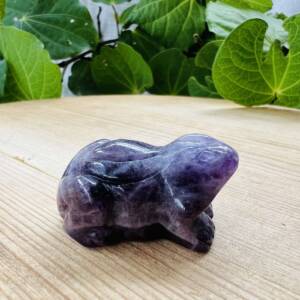 chevron amethyst frog manganese in quartz crystal ajna third eye chakra NZ crystal shop online