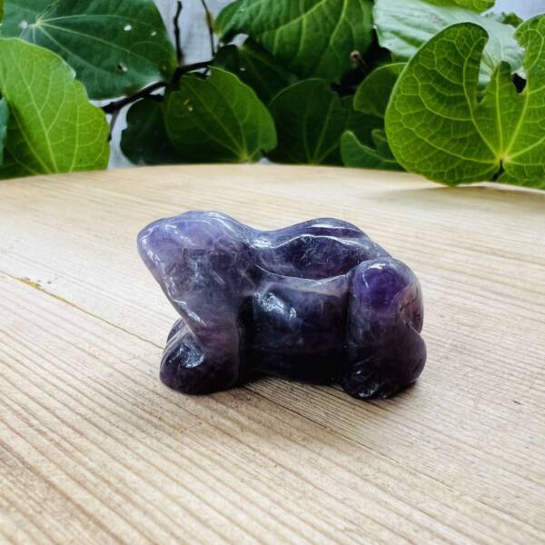 chevron amethyst frog