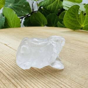 clear quartz frog carved crystal statue online NZ crystal shop crown chakra sahasrara