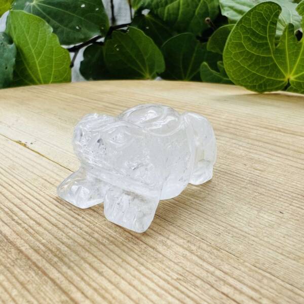 clear quartz frog