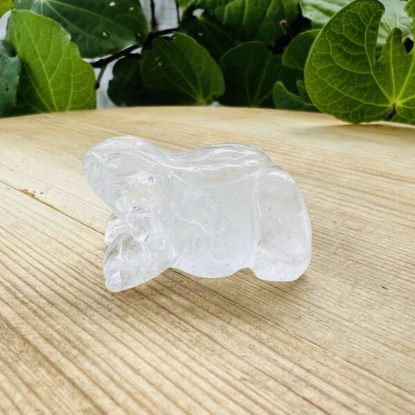 clear quartz frog