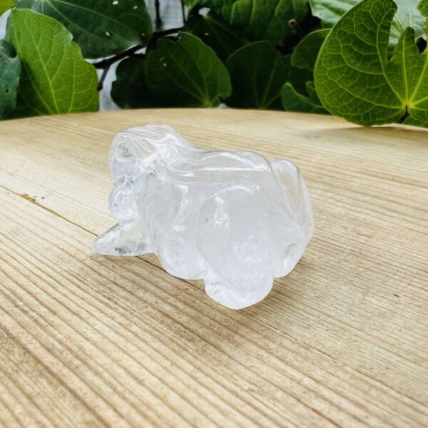 clear quartz frog