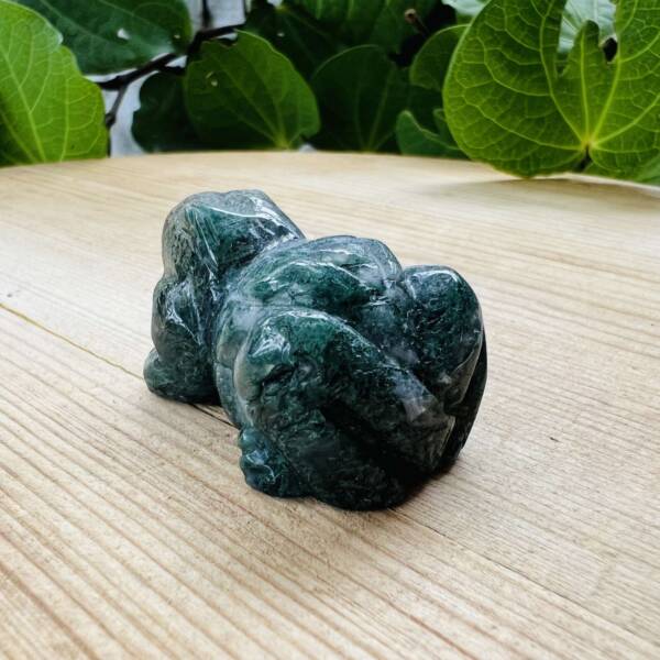moss agate frog