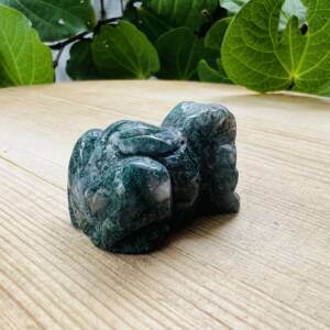 moss agate frog