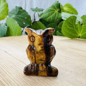 golden tiger eye owl carved statue quartz crystal over crocidolite natural mineral online crystal shop NZ