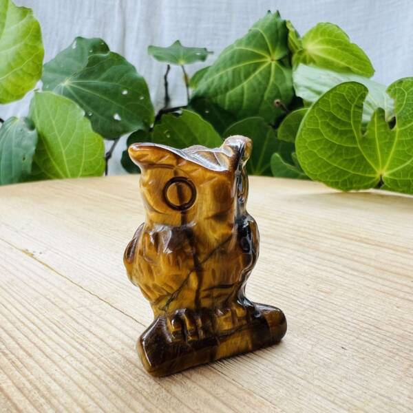 golden tiger eye owl